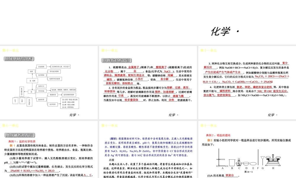 （小复习）2014届中考化学 第十一单元《 盐 化肥》（知识框架+教材分析+典型精析+实战演练+针对训练）课件 （新版）新人教版
