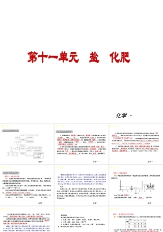 （小复习）2014届中考化学 第十一单元《 盐 化肥》（知识框架+教材分析+典型精析+实战演练+针对训练）课件 （新版）新人教版