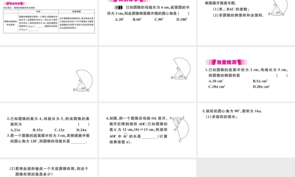 （安徽级数学上册 第二十四章 圆 24.4 弧长及扇形的面积 第2课时 圆锥的侧面积和全面积习题课件 （新版）新人教版-（新版）新人教级上册数学课件
