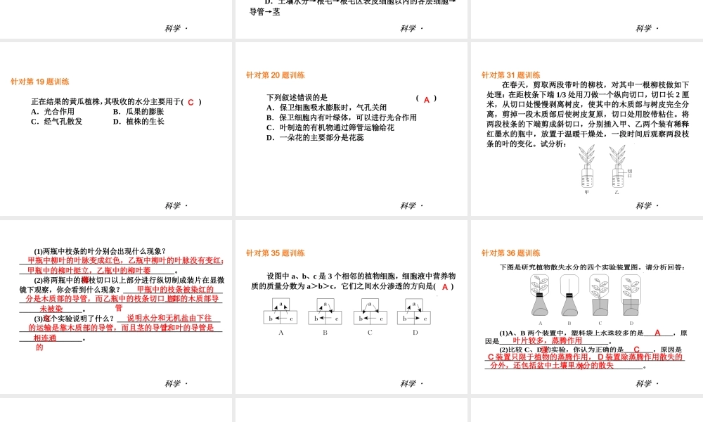 （小复习）2014届中考科学 八下 第4章《植物与土壤》（综合过关检测+阶段综合测试）课件 浙教版