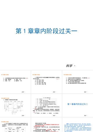 （小复习）2014届中考科学 七下 第1章《代代相传的生命》（章内阶段过关+综合过关检测+阶段综合测试）课件 浙教版