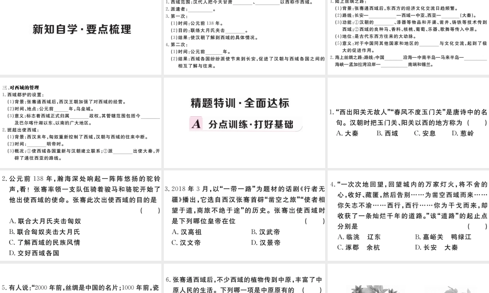 （安徽专级历史上册 第三单元 秦汉时期：统一多民族国家的建立和巩固14 沟通中外文明的丝绸之路习题课件 新人教版-新人教级上册历史课件