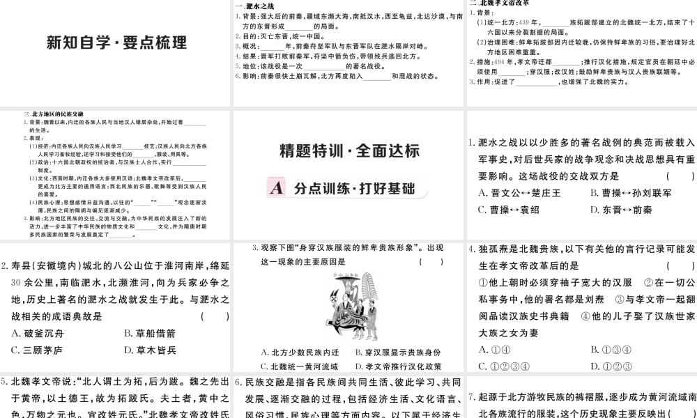 （安徽专级历史上册 第四单元 三国两晋南北朝时期：政权分立与民族融合19 北魏政治和北方民族大交融习题课件 新人教版-新人教级上册历史课件
