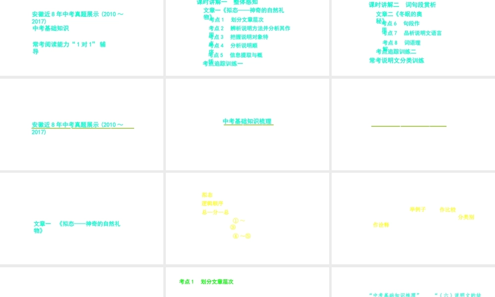 （安徽专用）中考语文 专题复习三 说明文阅读课件-人教版初中九年级全册语文课件