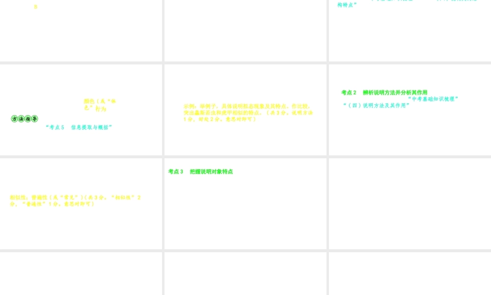 （安徽专用）中考语文 专题复习三 说明文阅读课件-人教版初中九年级全册语文课件