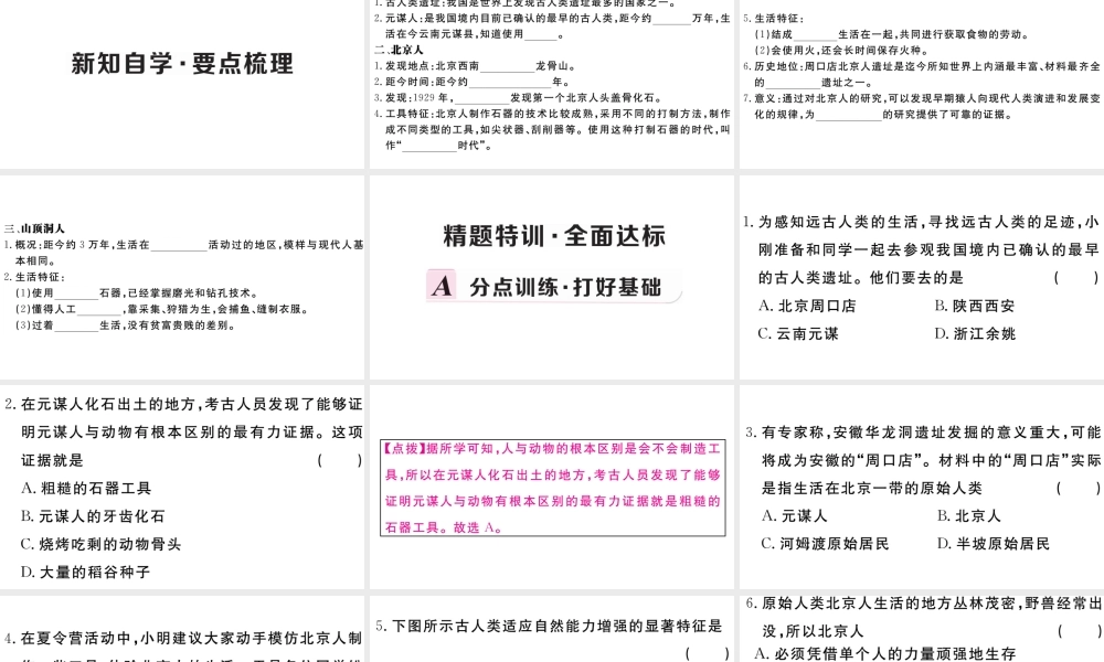 （安徽专级历史上册 第一单元 史前时期：中国境内人类的活动1 中国境内早期人类的代表 一一一北京人习题课件 新人教版-新人教级上册历史课件
