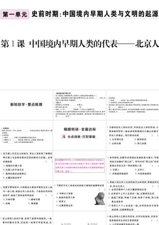 （安徽专级历史上册 第一单元 史前时期：中国境内人类的活动1 中国境内早期人类的代表 一一一北京人习题课件 新人教版-新人教级上册历史课件