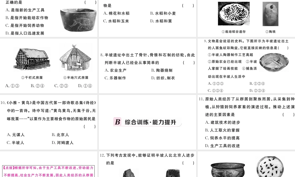 （安徽专级历史上册 第一单元 史前时期：中国境内人类的活动2 原始农耕生活习题课件 新人教版-新人教级上册历史课件