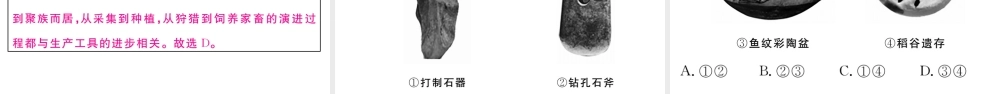 （安徽专级历史上册 第一单元 史前时期：中国境内人类的活动2 原始农耕生活习题课件 新人教版-新人教级上册历史课件