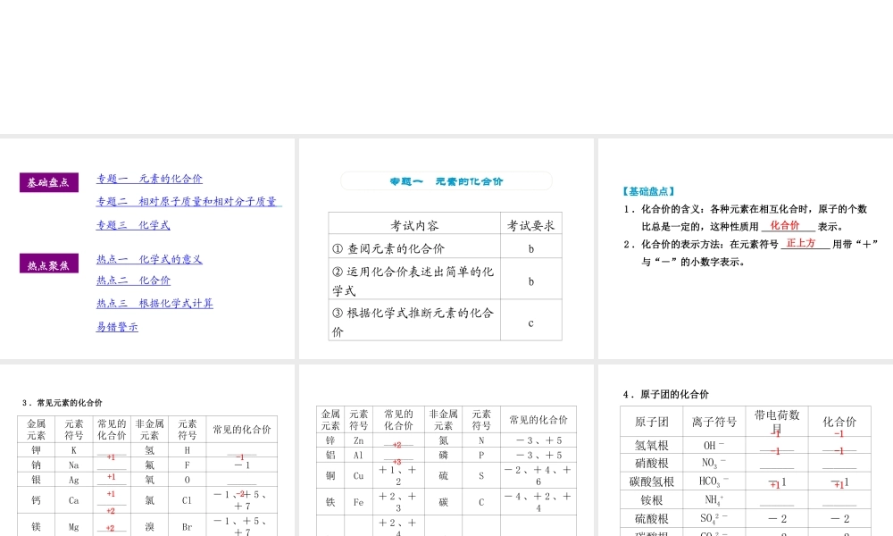（小复习）浙江省2014年中考科学专题复习 第28课 化合价与化学式课件