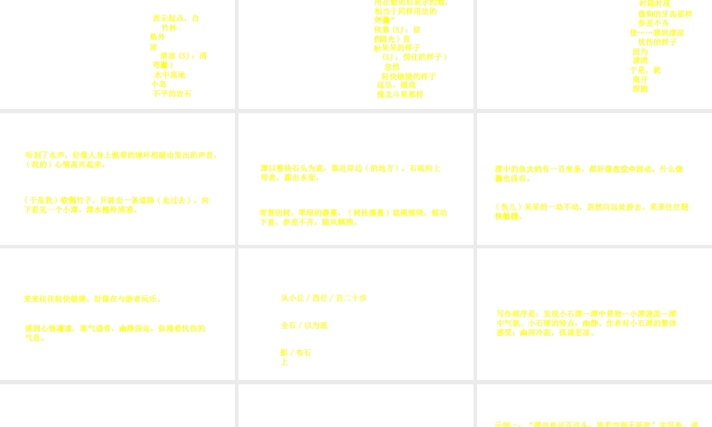（安徽专用）中考语文 专题复习四 文言文阅读 第11篇 小石潭记课件-人教版初中九年级全册语文课件