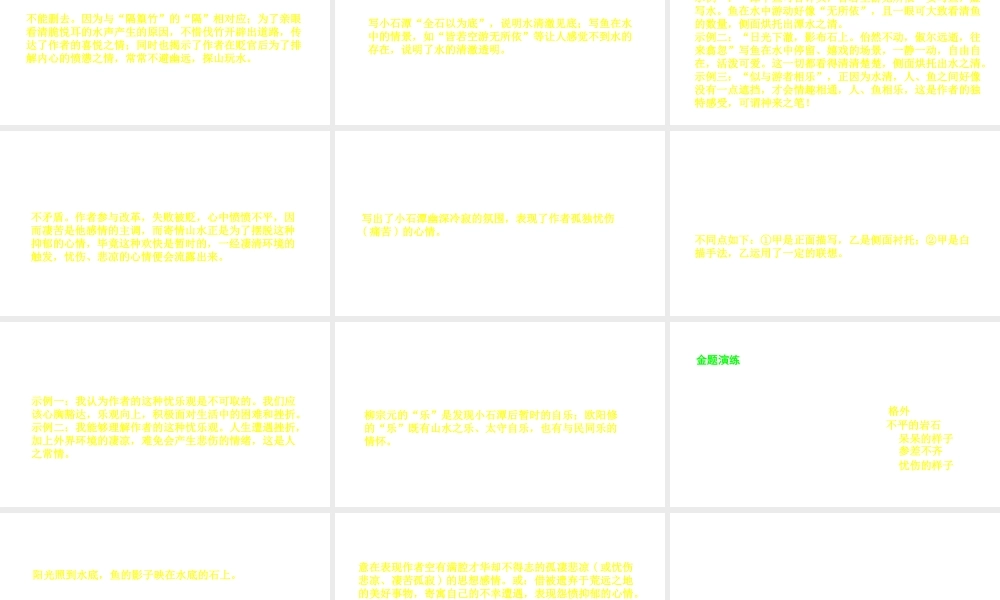 （安徽专用）中考语文 专题复习四 文言文阅读 第11篇 小石潭记课件-人教版初中九年级全册语文课件