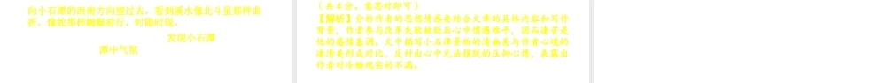 （安徽专用）中考语文 专题复习四 文言文阅读 第11篇 小石潭记课件-人教版初中九年级全册语文课件