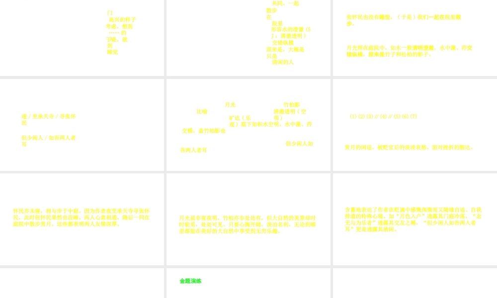 （安徽专用）中考语文 专题复习四 文言文阅读 第15篇 记承天寺夜游课件-人教版初中九年级全册语文课件