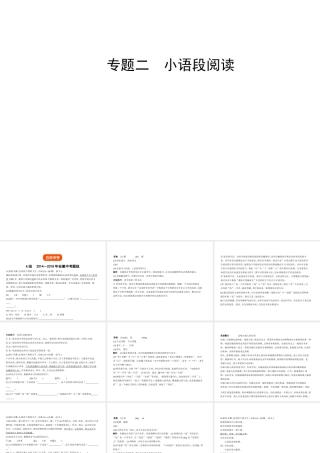 （安徽专用）中考语文总复习 第一部分 语文积累与运用 专题二 小语段阅读（试题部分）课件-人教版初中九年级全册语文课件
