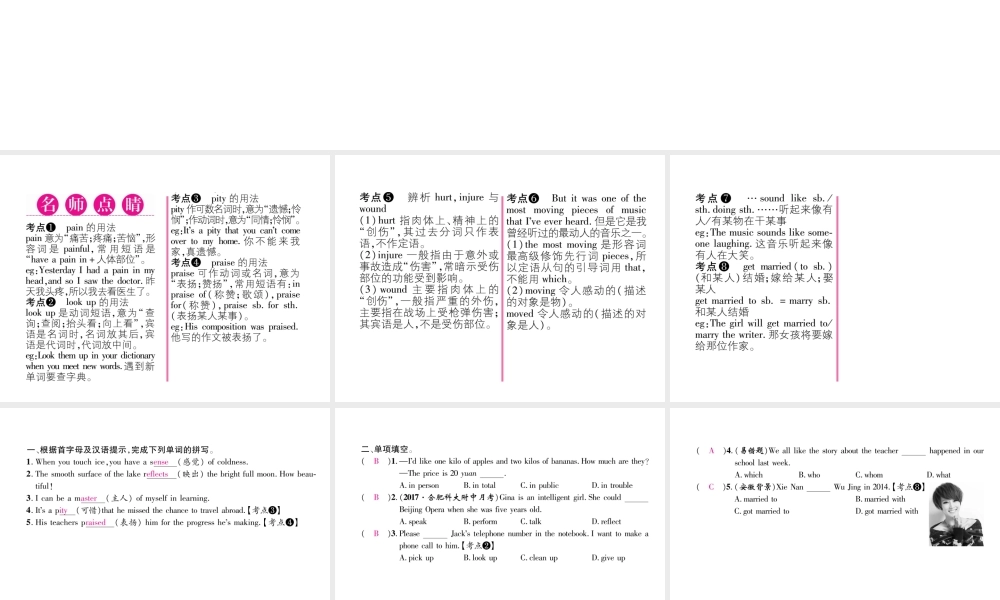 （安徽专版）秋九年级英语全册 Unit 9 I like music that I can dance to（第6课时）Section B（2a-2e）习题课件 （新版）人教新目标版-（新版）人教新目标版初中九年级全册英语课件