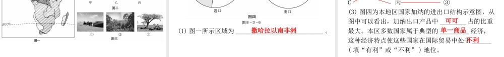 （广东专版）七年级地理下册 第八章 第三节 撒哈拉以南非洲导学练课件 （新版）新人教版-（新版）新人教版初中七年级下册地理课件