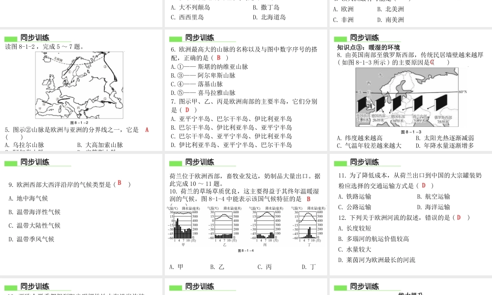 （广东专版）七年级地理下册 第八章 第一节 欧洲概述习题课件 （新版）粤教版-（新版）粤教版初中七年级下册地理课件