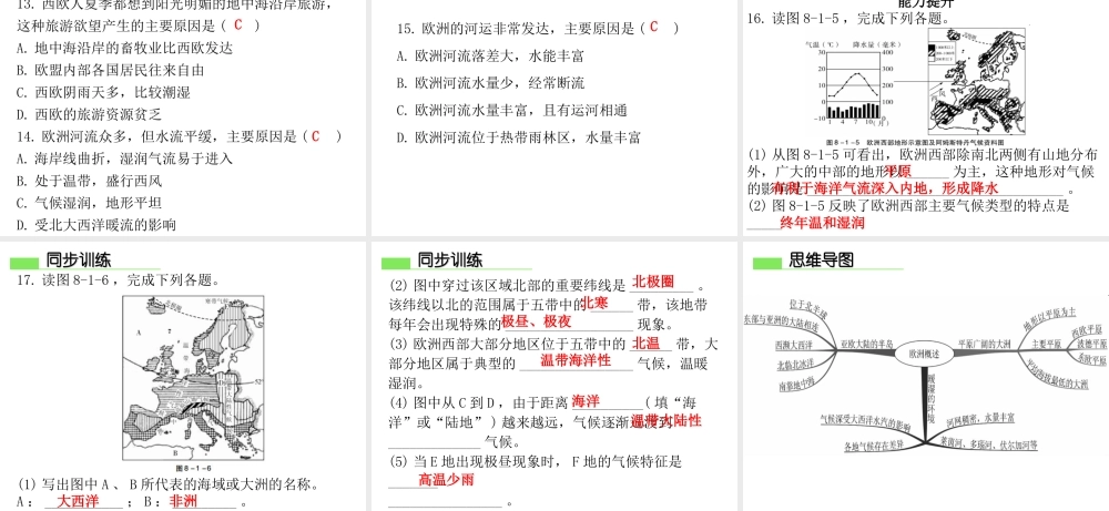 （广东专版）七年级地理下册 第八章 第一节 欧洲概述习题课件 （新版）粤教版-（新版）粤教版初中七年级下册地理课件