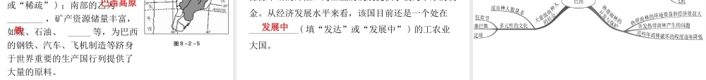 （广东专版）七年级地理下册 第九章 第二节 巴西导学练课件 （新版）新人教版-（新版）新人教版初中七年级下册地理课件