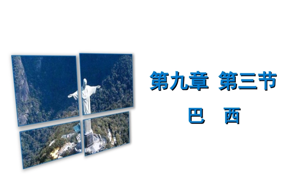 （广东专版）七年级地理下册 第九章 第三节 巴西习题课件 （新版）粤教版-（新版）粤教版初中七年级下册地理课件