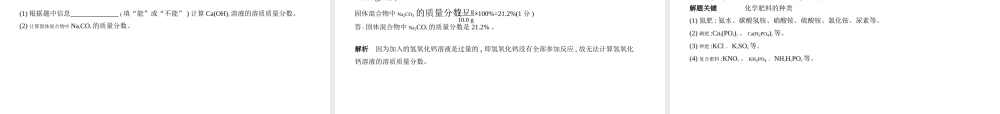 （安徽专用）中考化学复习 专题六 盐 化肥（试卷部分）课件-人教版初中九年级全册化学课件