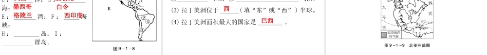 （广东专版）七年级地理下册 第九章 第一节 美洲概述习题课件 （新版）粤教版-（新版）粤教版初中七年级下册地理课件