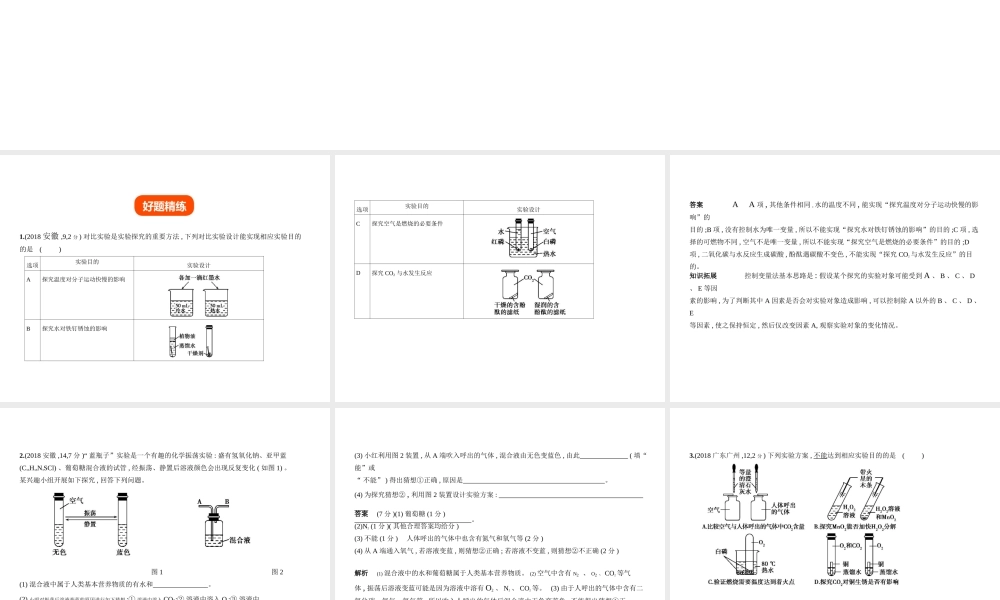 （安徽专用）中考化学复习 专题十八 实验探究题（试卷部分）课件-人教版初中九年级全册化学课件
