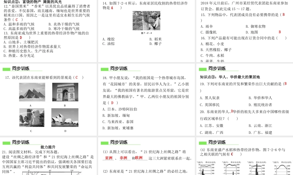 （广东专版）七年级地理下册 第七章 第二节 东南亚课件 （新版）粤教版-（新版）粤教版初中七年级下册地理课件