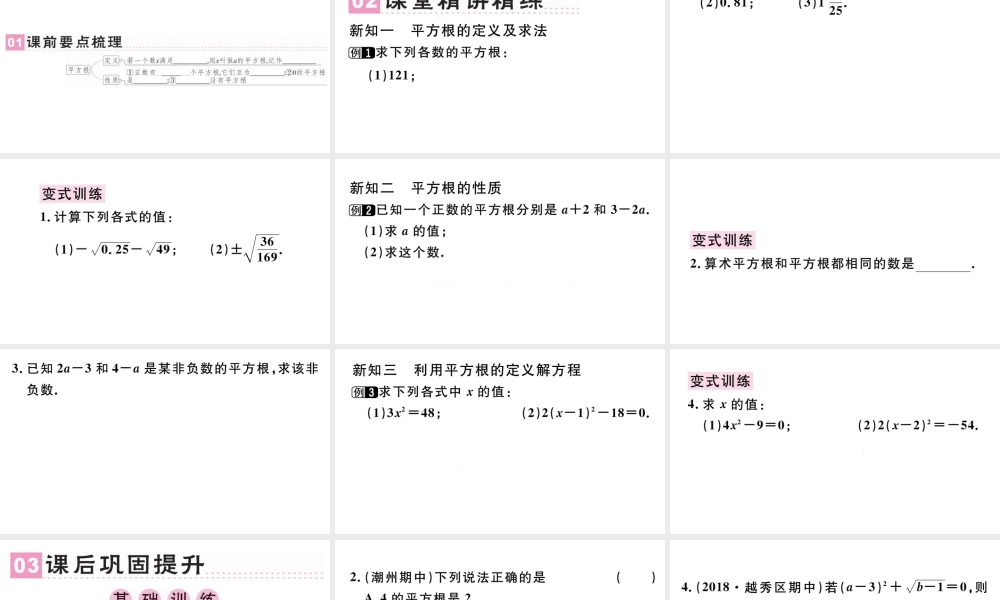 （广东专版）七年级数学下册 第六章 实数 6.1平方根课件3（新版）新人教版-（新版）新人教版初中七年级下册数学课件
