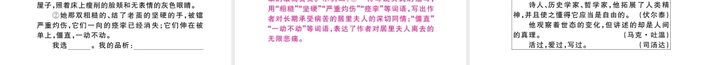 （山西专版）八年级语文上册 第二单元 9 美丽的颜色课件 新人教版-新人教版初中八年级上册语文课件