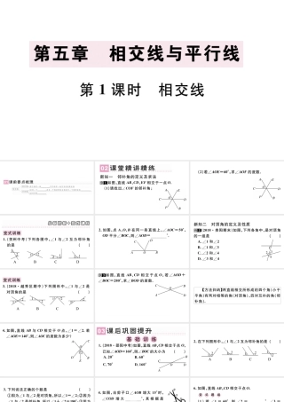 （广东专版）七年级数学下册 第五章 相交线与平行线 5.1 相交线 5.1.1 相交线课件（新版）新人教版-（新版）新人教版初中七年级下册数学课件