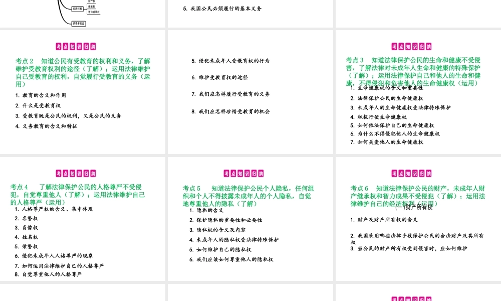 （安徽专用）中考政治总复习 第六单元 权利与义务课件-人教版初中九年级全册政治课件