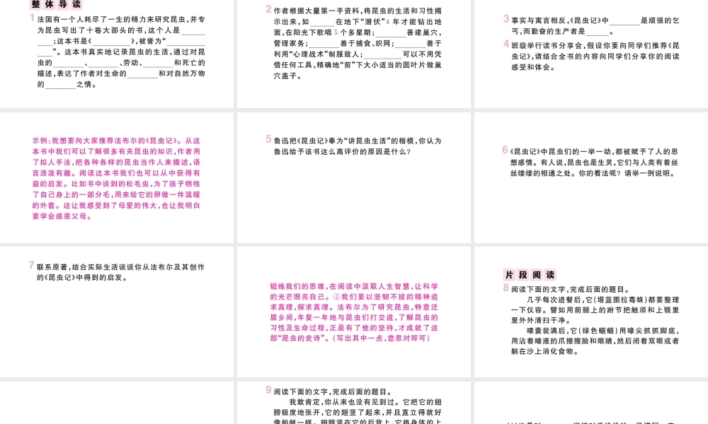 （山西专版）八年级语文上册 第五单元 名著导读《昆虫记》课件 新人教版-新人教版初中八年级上册语文课件
