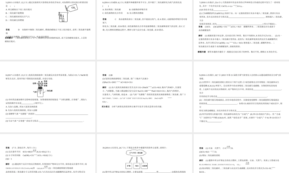 （山东专版）中考化学复习 专题二 碳和碳的氧化物（试卷部分）课件-人教版初中九年级全册化学课件
