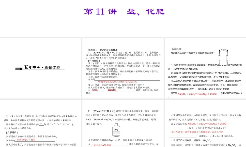 （山西地区）中考化学总复习 第一篇 考点聚焦 第11讲 盐、化肥课件-人教版初中九年级全册化学课件