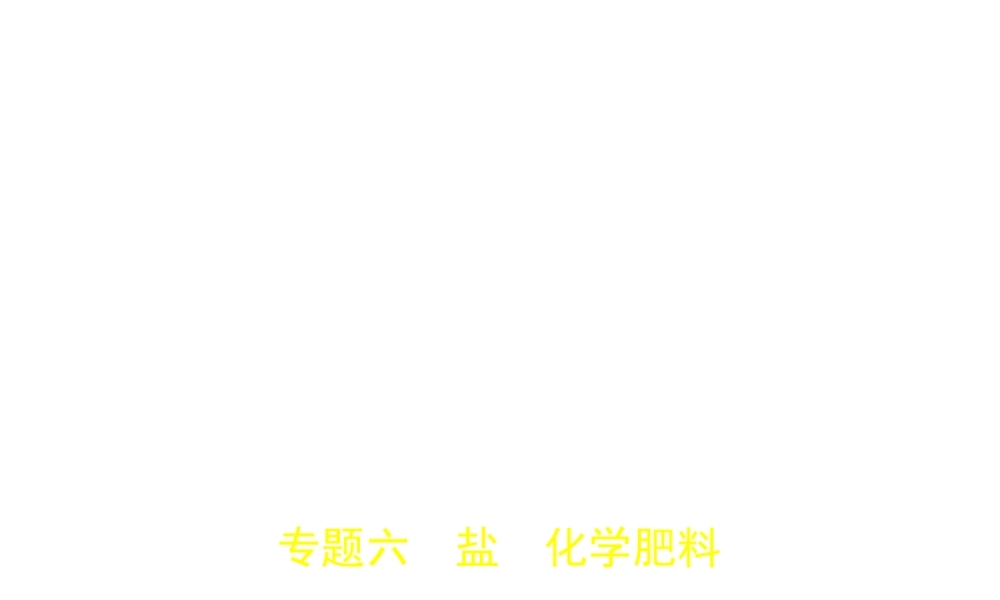 （山东专版）中考化学复习 专题六 盐 化学肥料（试卷部分）课件-人教版初中九年级全册化学课件