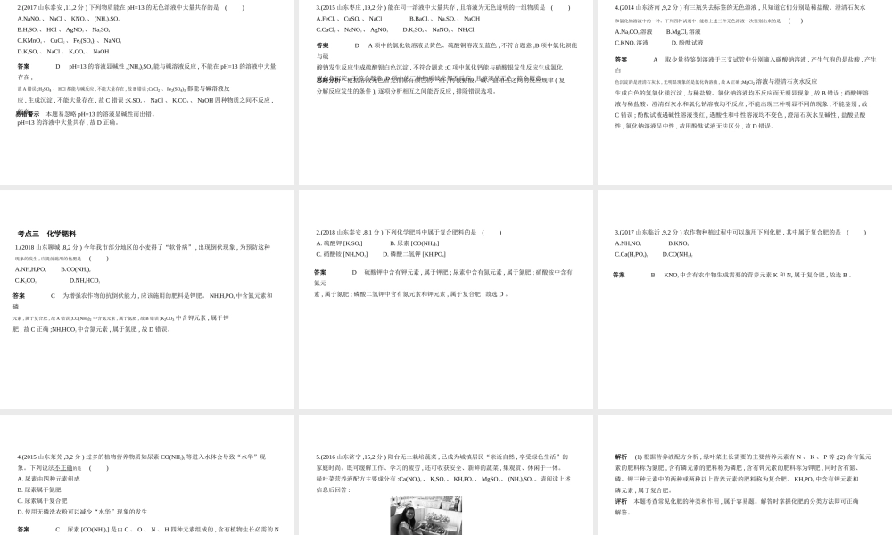 （山东专版）中考化学复习 专题六 盐 化学肥料（试卷部分）课件-人教版初中九年级全册化学课件