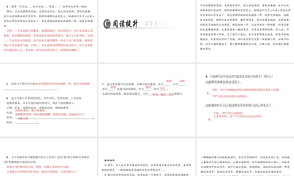 （广东专版）七年级语文上册 第三单元 9 从百草园到三味书屋课件 新人教版-新人教版初中七年级上册语文课件