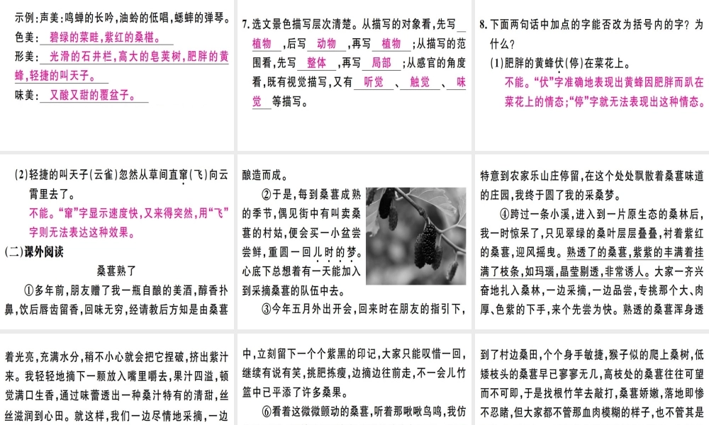 （广东专版）七年级语文上册 第三单元 9 从百草园到三味书屋习题讲评课件 新人教版-新人教版初中七年级上册语文课件