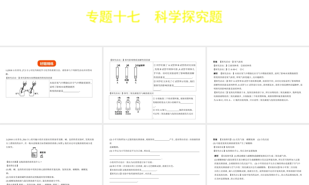 （山东专版）中考化学复习 专题十七 科学探究题（试卷部分）课件-人教版初中九年级全册化学课件