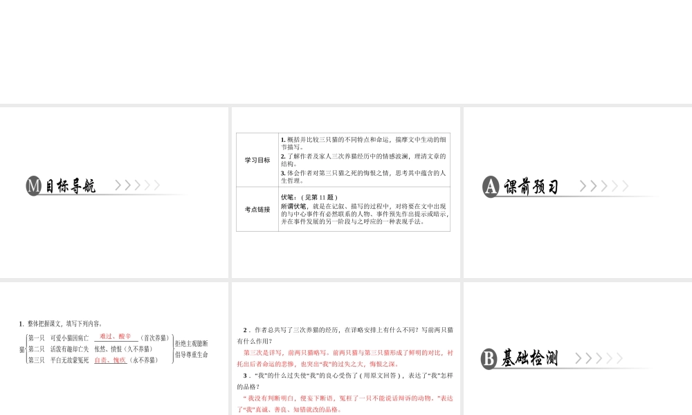 （广东专版）七年级语文上册 第五单元 16 猫课件 新人教版-新人教版初中七年级上册语文课件