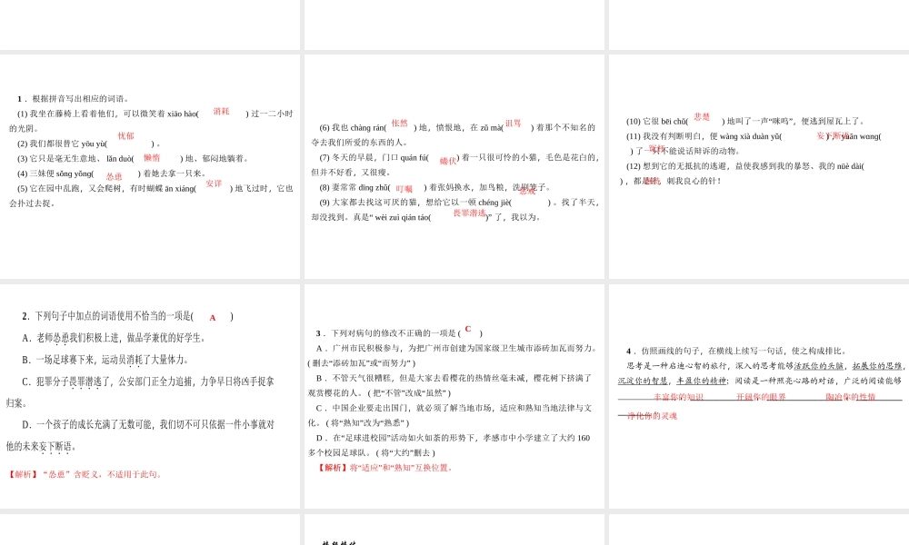 （广东专版）七年级语文上册 第五单元 16 猫课件 新人教版-新人教版初中七年级上册语文课件