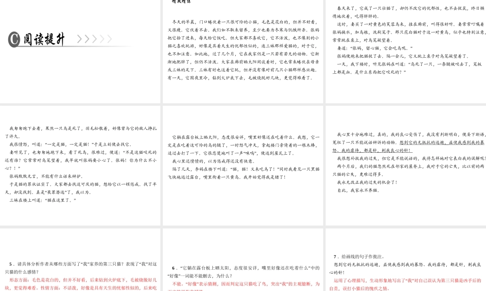 （广东专版）七年级语文上册 第五单元 16 猫课件 新人教版-新人教版初中七年级上册语文课件