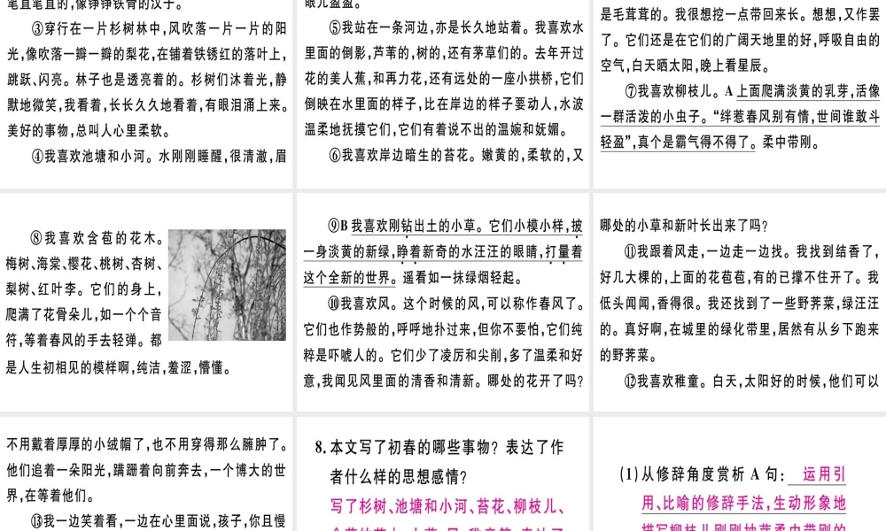 （广东专版）七年级语文上册 第一单元 1 春习题讲评课件 新人教版-新人教版初中七年级上册语文课件