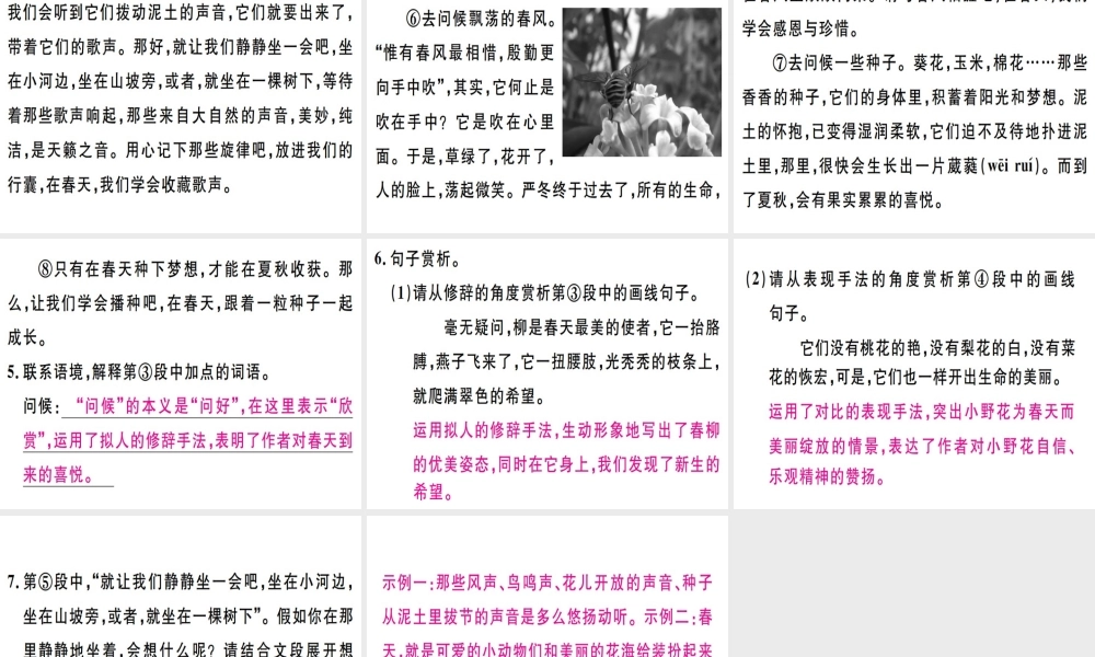 （广东专版）七年级语文上册 第一单元 3雨的四季习题讲评课件 新人教版-新人教版初中七年级上册语文课件