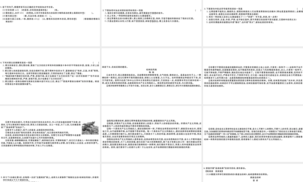 （山西专版）秋八年级语文上册 第四单元 15 白杨礼赞习题课件 新人教版-新人教版初中八年级上册语文课件