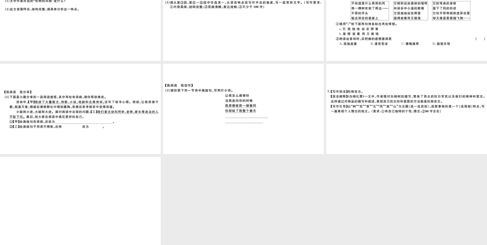 （山西专版）秋八年级语文上册 第四单元 15 白杨礼赞习题课件 新人教版-新人教版初中八年级上册语文课件