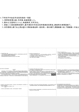 （山西专版）秋八年级语文上册 第四单元 17 昆明的雨习题课件 新人教版-新人教版初中八年级上册语文课件