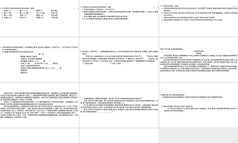 （山西专版）秋八年级语文上册 第五单元 20 蝉习题课件 新人教版-新人教版初中八年级上册语文课件